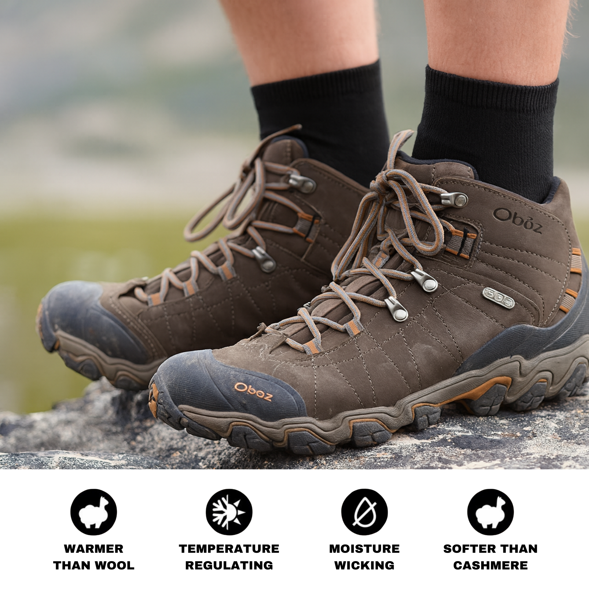 Quarter Socks